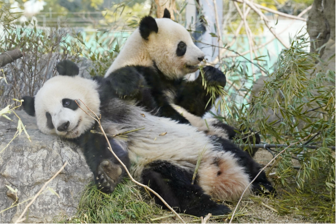 微信图片_2026-01-21_065055_816.png 微信图片_2026-01-21_065055_816.png