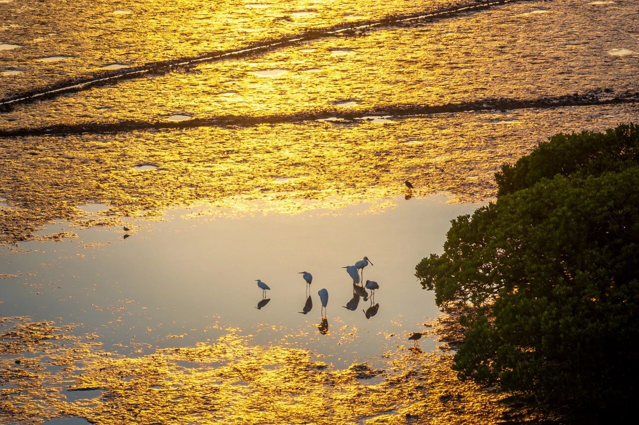 微信图片_2026-02-03_062328_721.jpg 微信图片_2026-02-03_062328_721.jpg