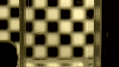 微信图片_2026-02-13_080713_617.jpg 微信图片_2026-02-13_080713_617.jpg