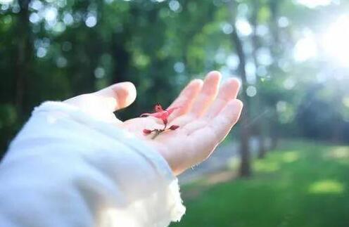 QQ截图20240219090325.jpg QQ截图20240219090325.jpg