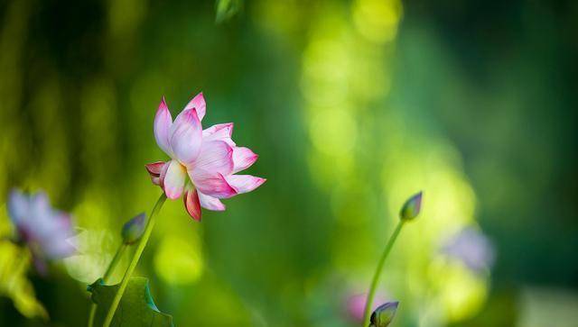 f24db5ff6841466597255826f583e9c0.jpeg f24db5ff6841466597255826f583e9c0.jpeg