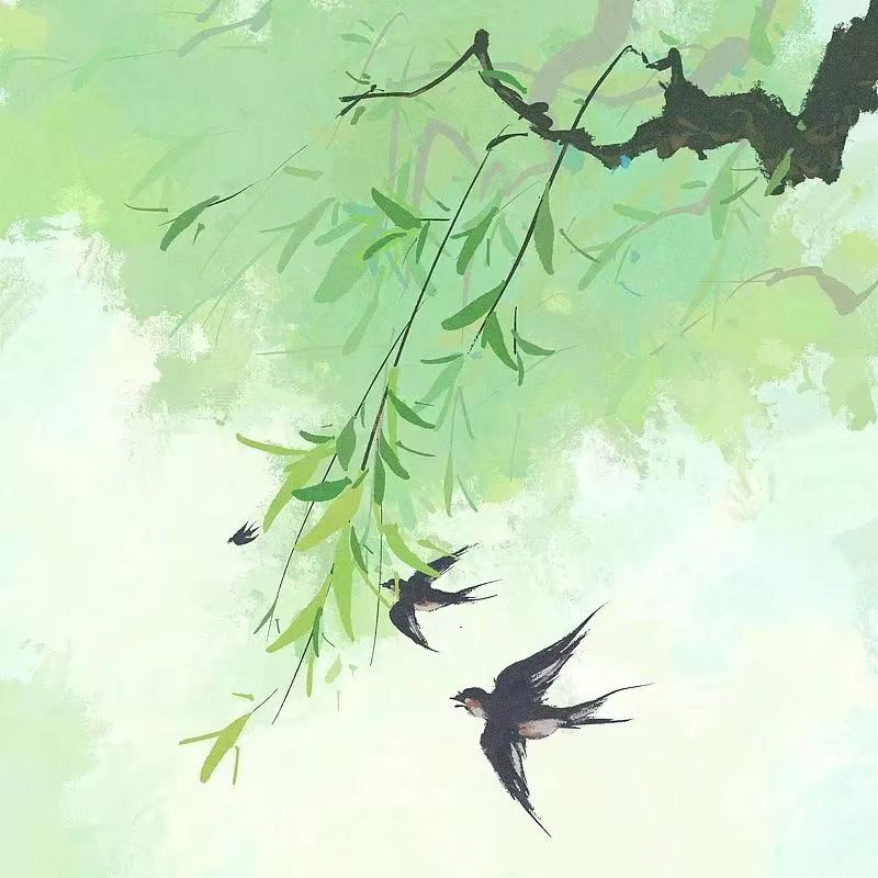 微信图片_20250203093055.jpg 微信图片_20250203093055.jpg