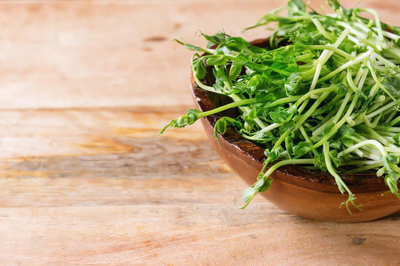 微信图片_2026-03-22_094449_012.jpg 微信图片_2026-03-22_094449_012.jpg