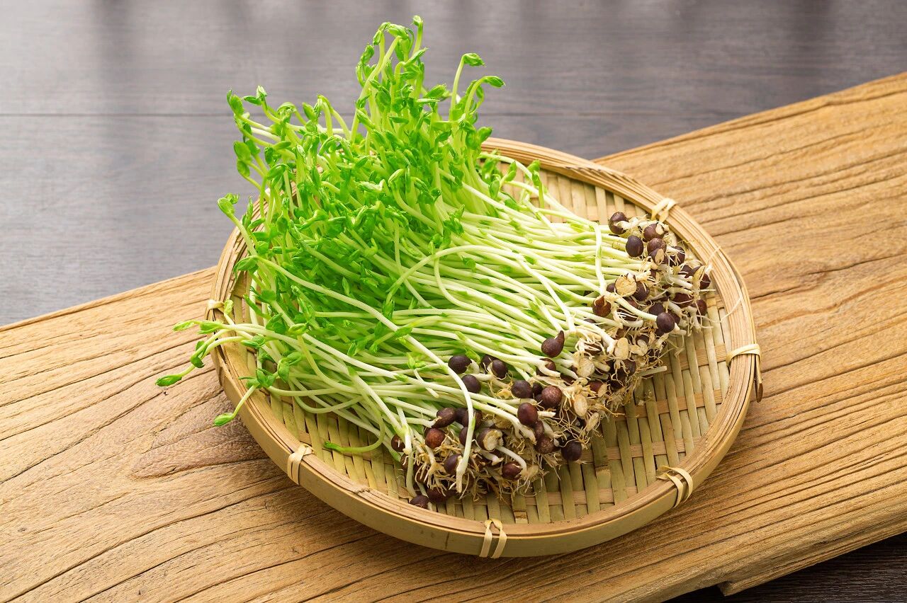 微信图片_2026-03-22_094453_804.jpg 微信图片_2026-03-22_094453_804.jpg