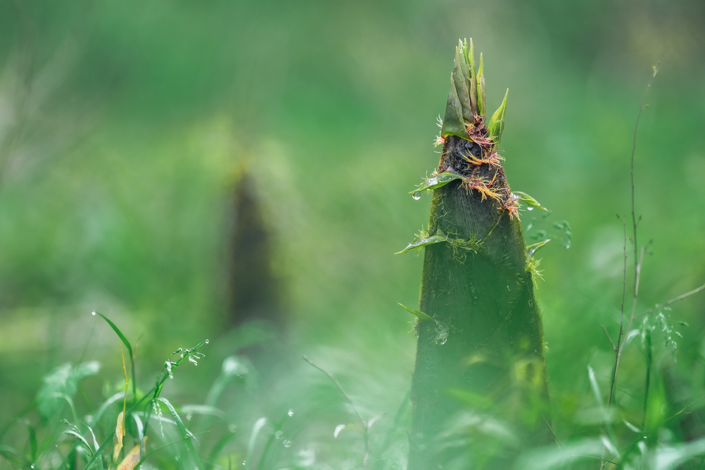 微信图片_2026-03-22_094503_850.png 微信图片_2026-03-22_094503_850.png