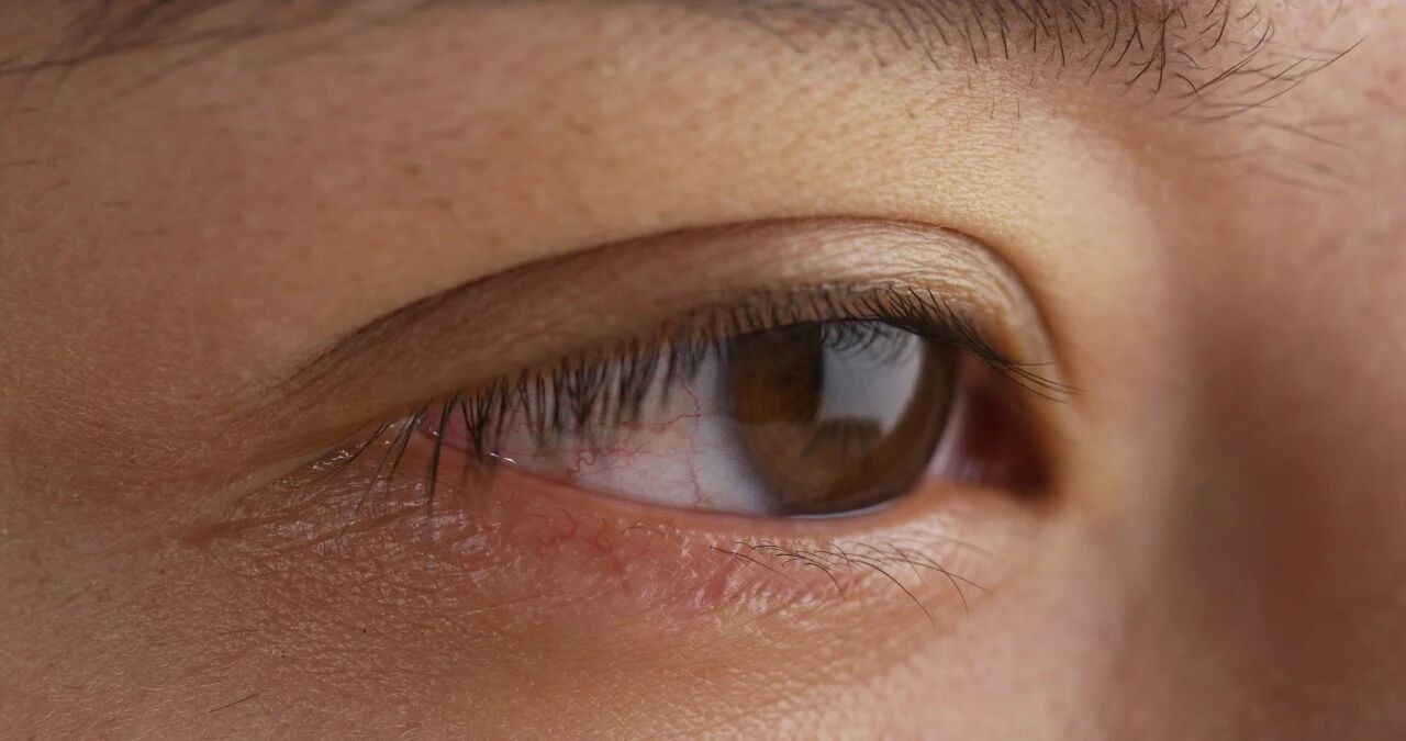 微信图片_2026-03-23_090318_582.jpg 微信图片_2026-03-23_090318_582.jpg