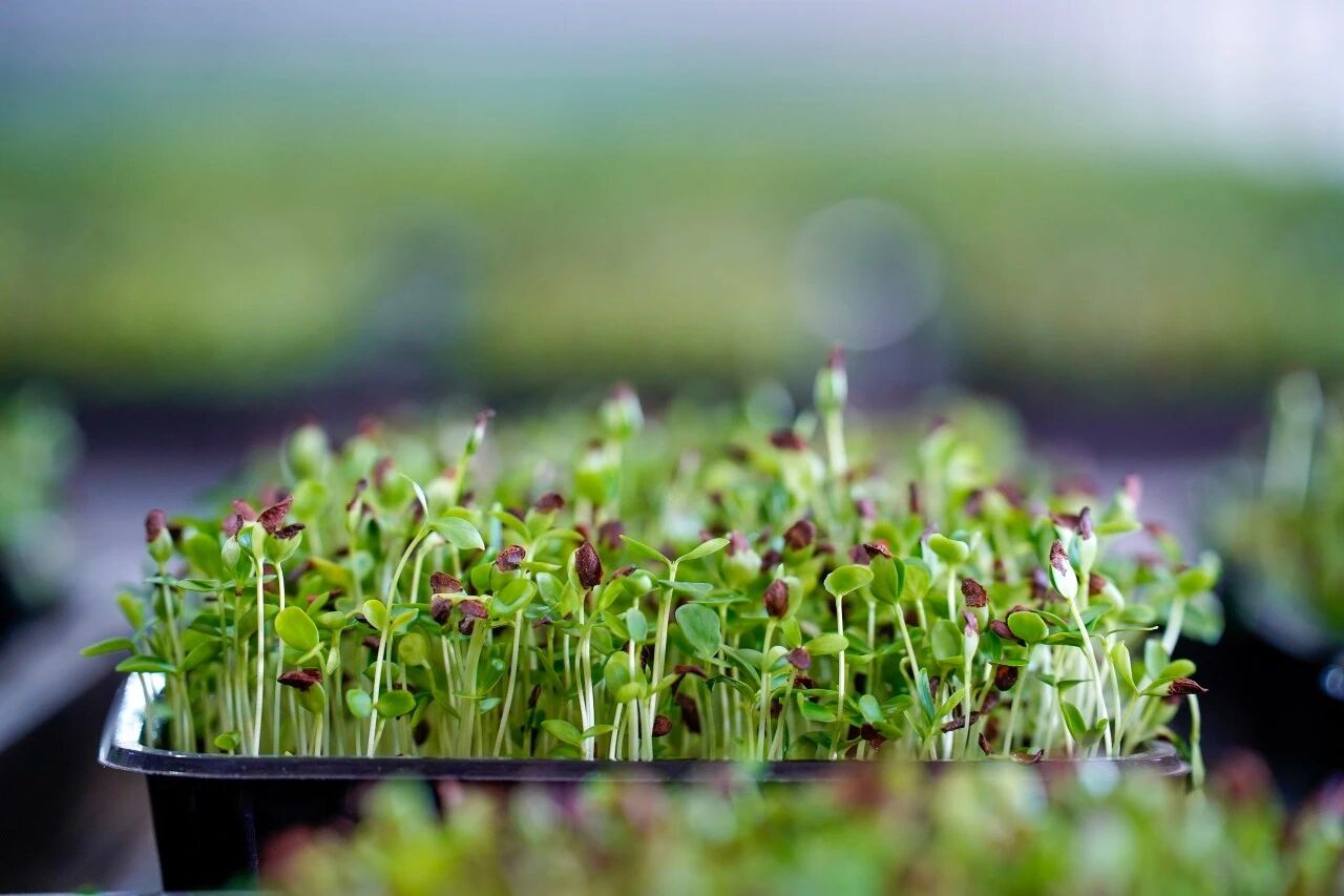 微信图片_2026-04-12_091242_693.jpg 微信图片_2026-04-12_091242_693.jpg