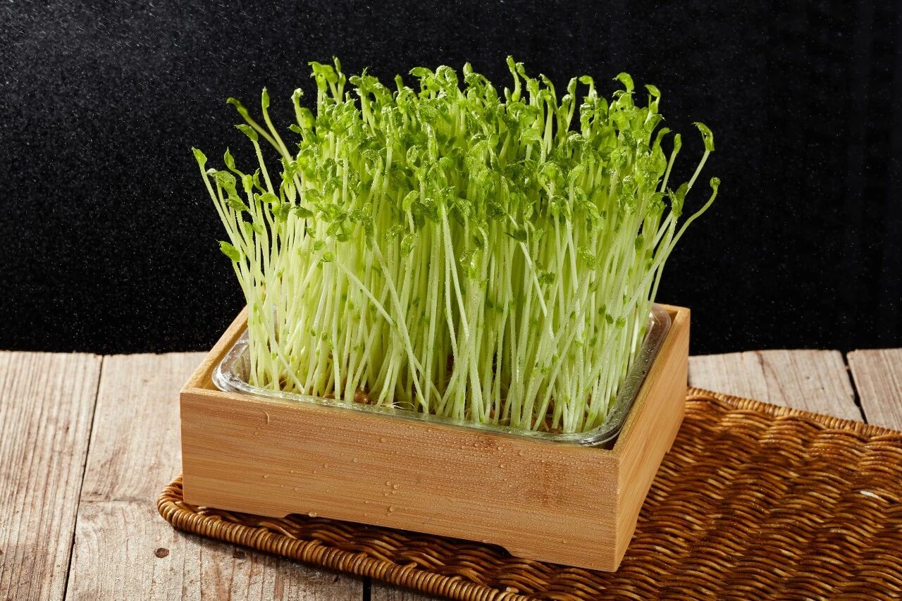 微信图片_2026-04-12_091248_829.jpg 微信图片_2026-04-12_091248_829.jpg