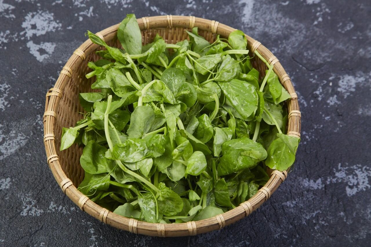 微信图片_2026-04-12_091253_854.jpg 微信图片_2026-04-12_091253_854.jpg