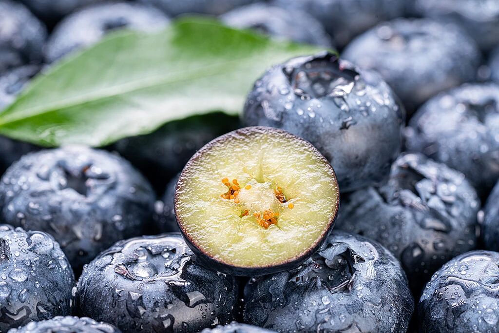 微信图片_2026-04-13_082144_739.jpg 微信图片_2026-04-13_082144_739.jpg