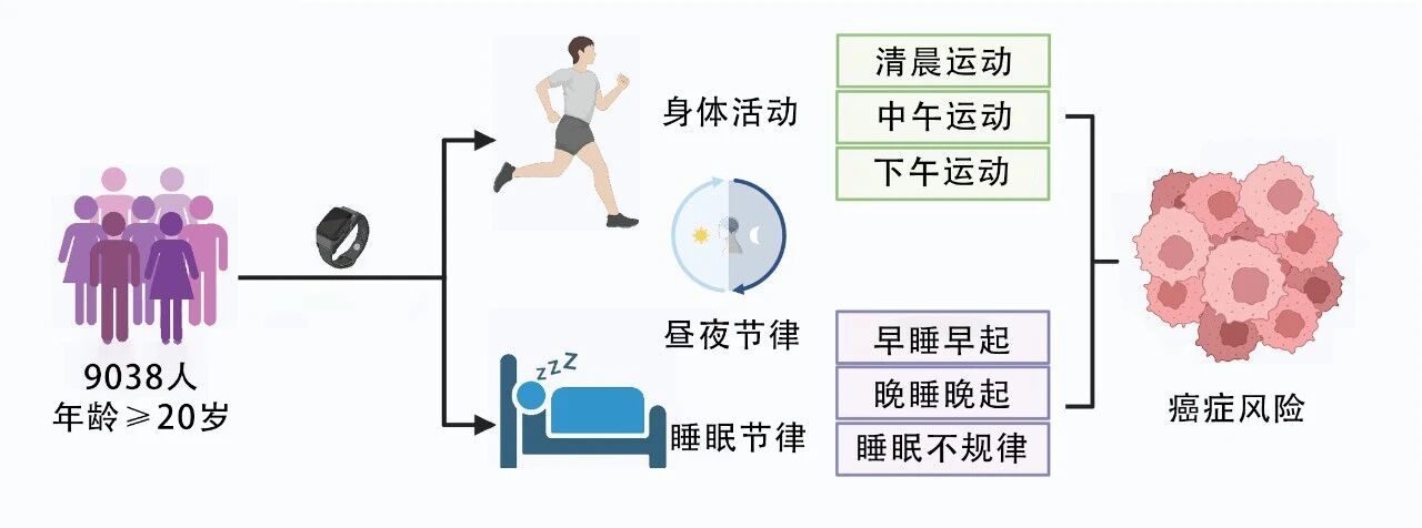 微信图片_2026-06-04_082411_356.jpg
