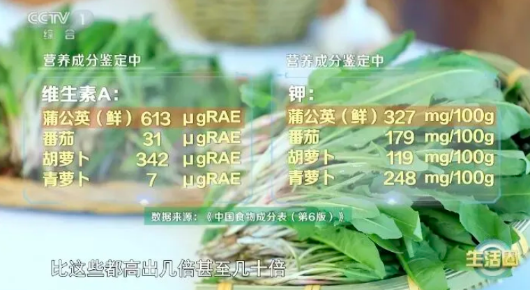 微信图片_20260622082520_151_4.png