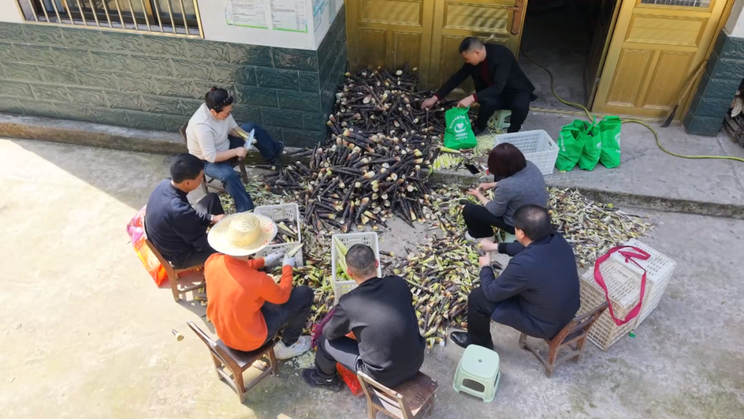 微信图片_2026-04-13_123426_025.png 微信图片_2026-04-13_123426_025.png