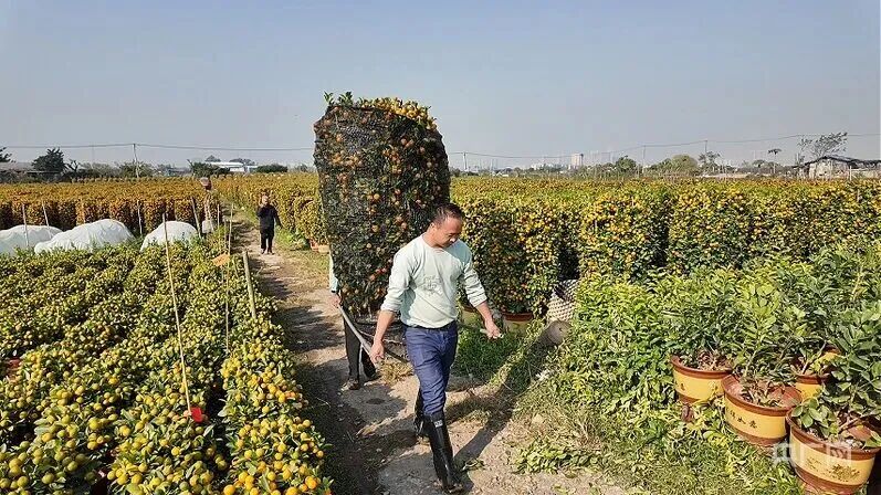 微信图片_2026-04-13_130343_673.jpg 微信图片_2026-04-13_130343_673.jpg