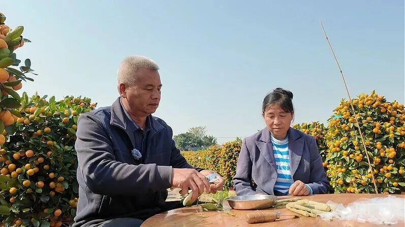 微信图片_2026-04-13_130400_554.jpg 微信图片_2026-04-13_130400_554.jpg