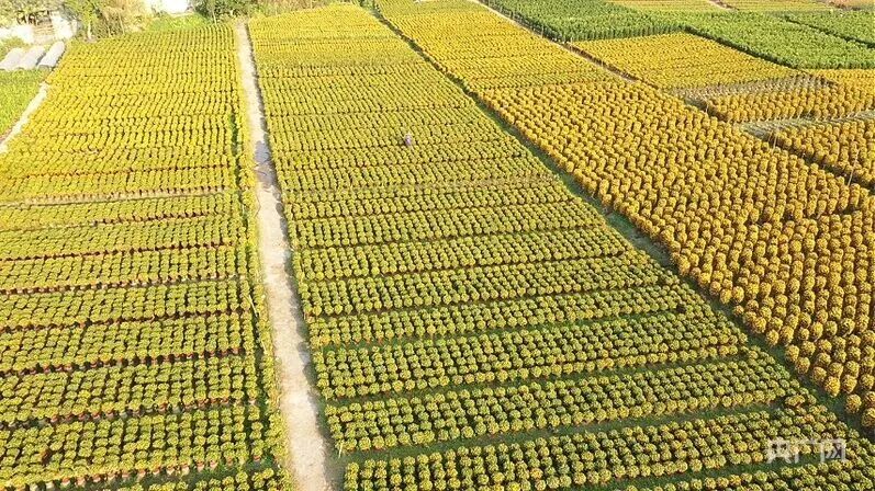 微信图片_2026-04-13_130409_129.jpg 微信图片_2026-04-13_130409_129.jpg