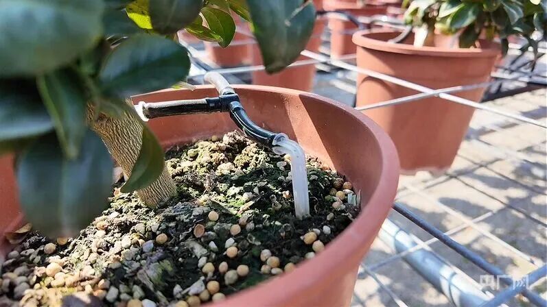 微信图片_2026-04-13_130413_953.jpg 微信图片_2026-04-13_130413_953.jpg