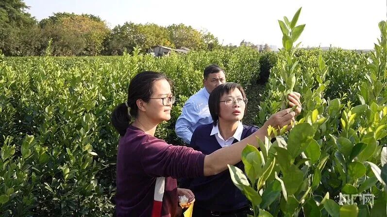 微信图片_2026-04-13_130418_377.jpg 微信图片_2026-04-13_130418_377.jpg