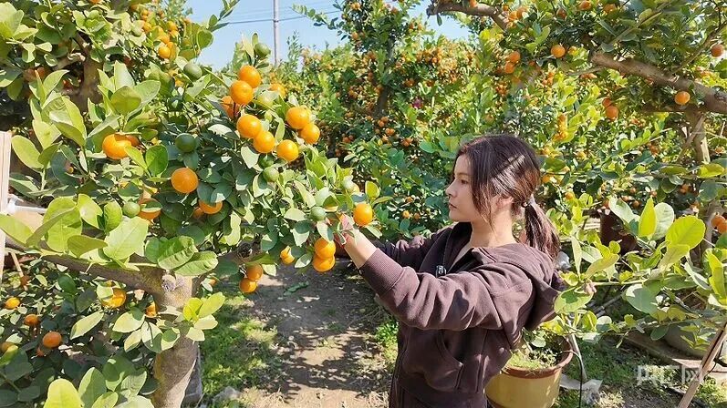 微信图片_2026-04-13_130425_360.jpg 微信图片_2026-04-13_130425_360.jpg