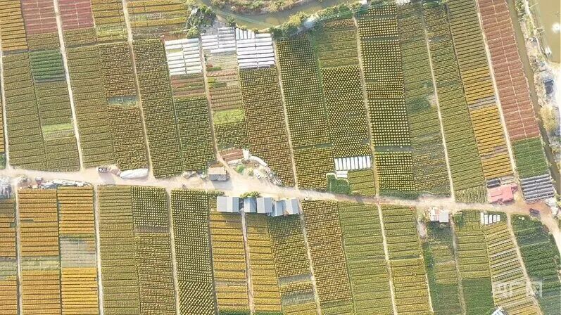 微信图片_2026-04-13_130430_713.jpg 微信图片_2026-04-13_130430_713.jpg