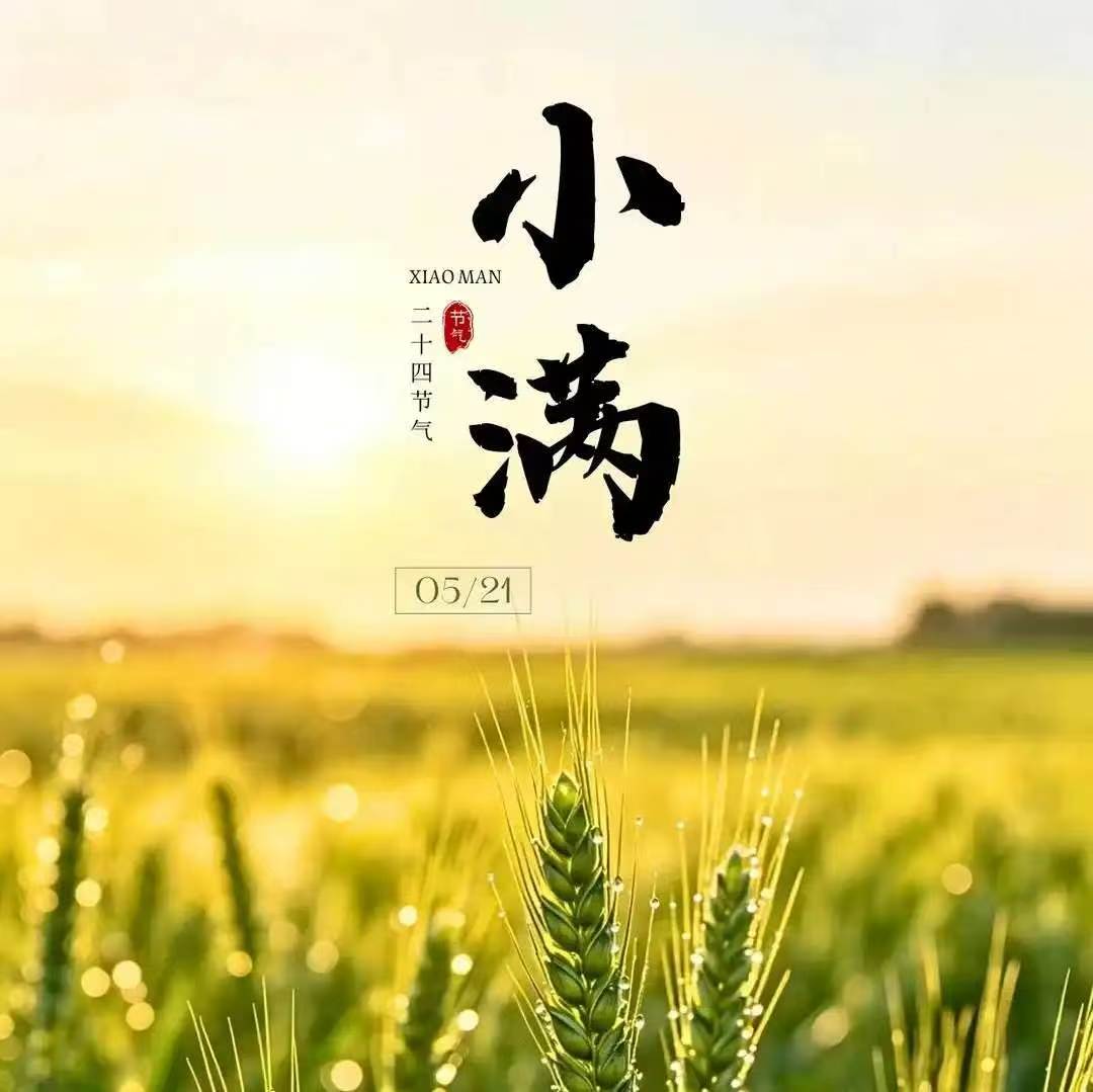 微信图片_20260521093104_8_4.jpg