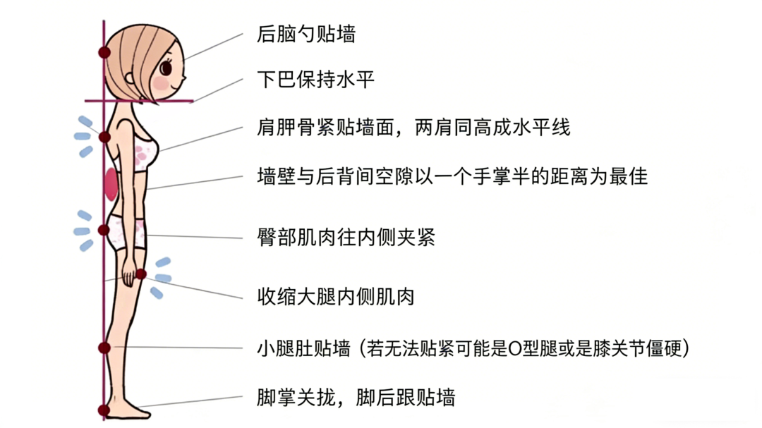 微信图片_2026-03-21_083945_810.png 微信图片_2026-03-21_083945_810.png