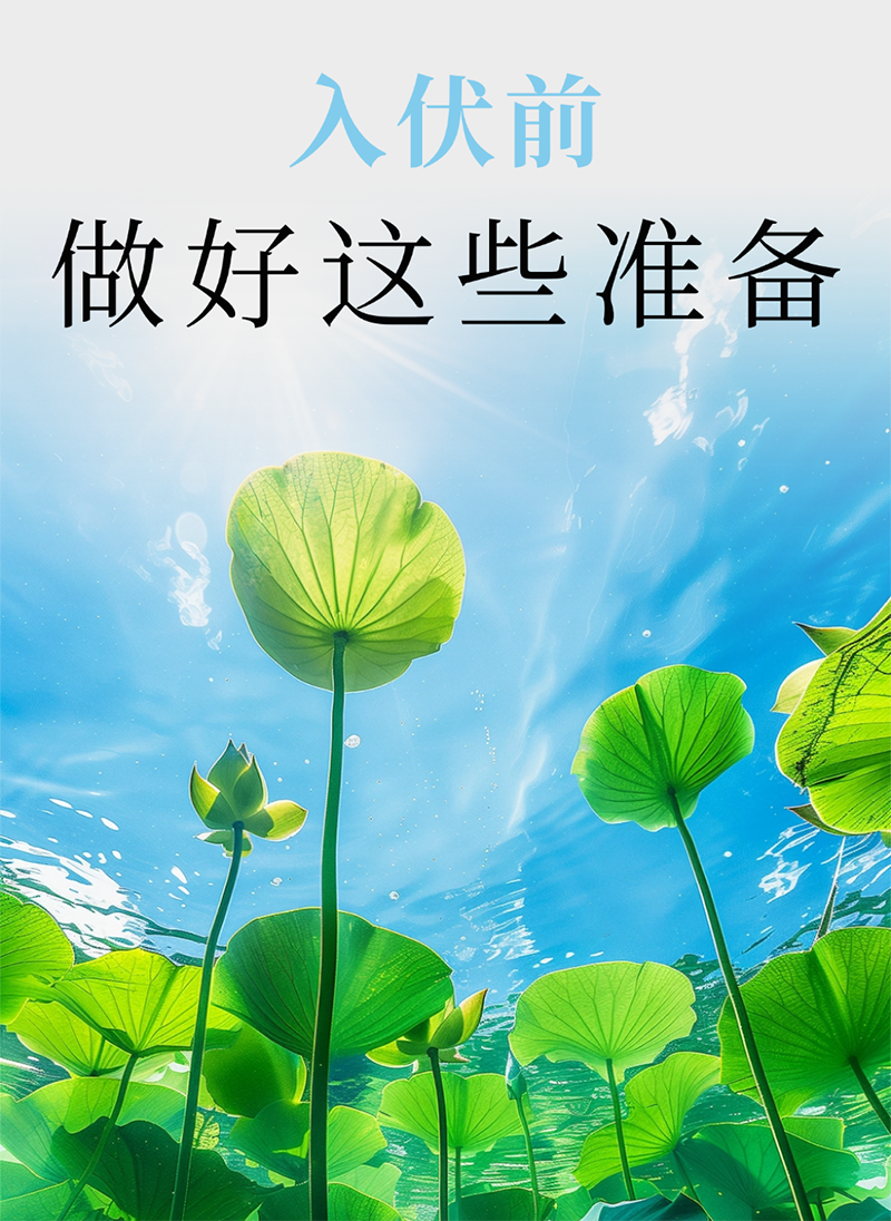 微信图片_2026-07-02_094857_047.png