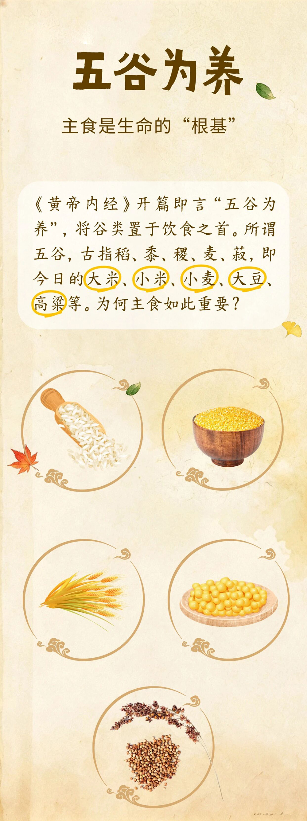微信图片_2026-07-31_093507_082.jpg