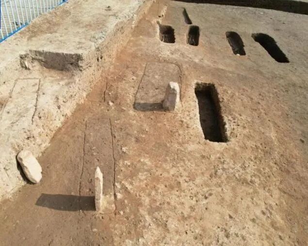 微信图片_2026-03-17_072909_675.jpg 微信图片_2026-03-17_072909_675.jpg