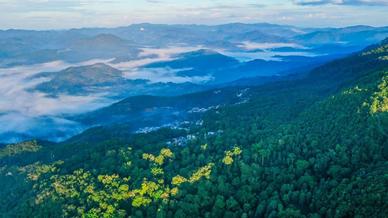 微信图片_2026-03-21_074632_387.jpg 微信图片_2026-03-21_074632_387.jpg