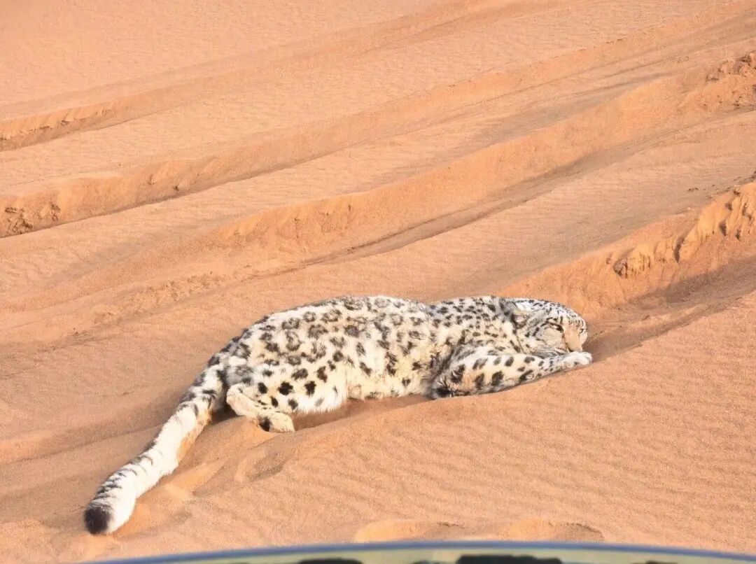 微信图片_2026-03-23_075152_872.jpg 微信图片_2026-03-23_075152_872.jpg