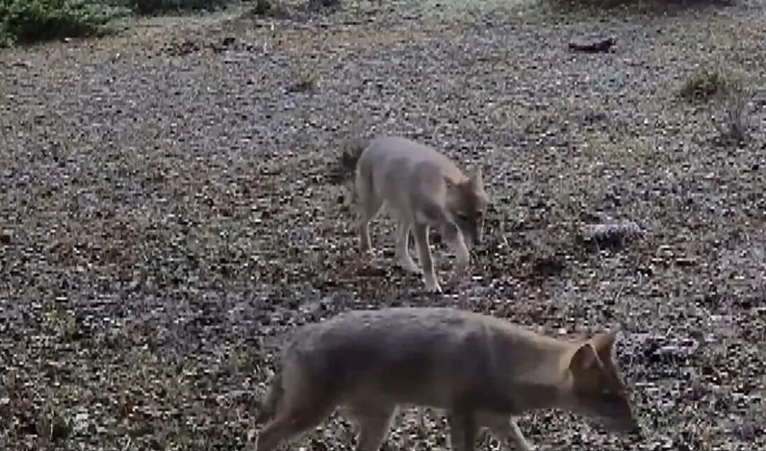 微信图片_2026-03-28_074056_646.jpg 微信图片_2026-03-28_074056_646.jpg