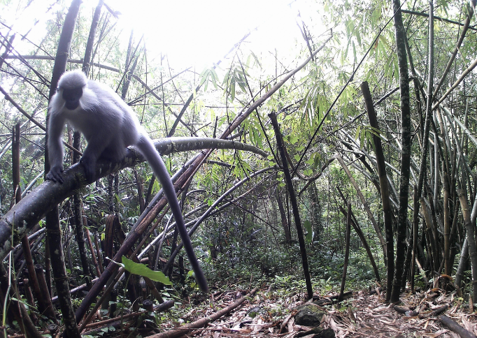 微信图片_20260329075918_2198_21.png 微信图片_20260329075918_2198_21.png