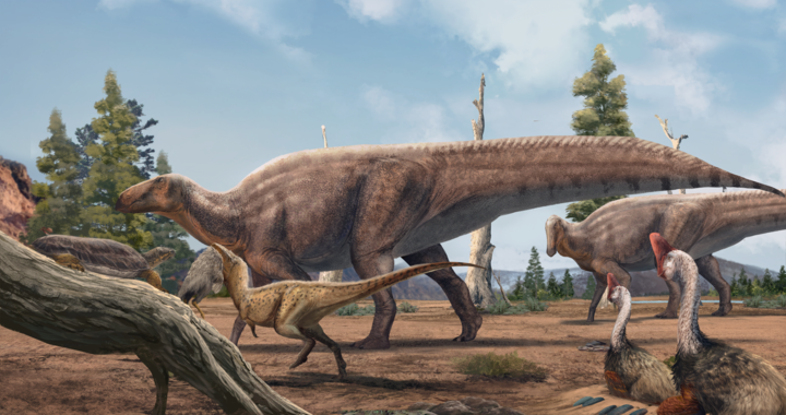 微信图片_2026-04-05_070910_216.png 微信图片_2026-04-05_070910_216.png