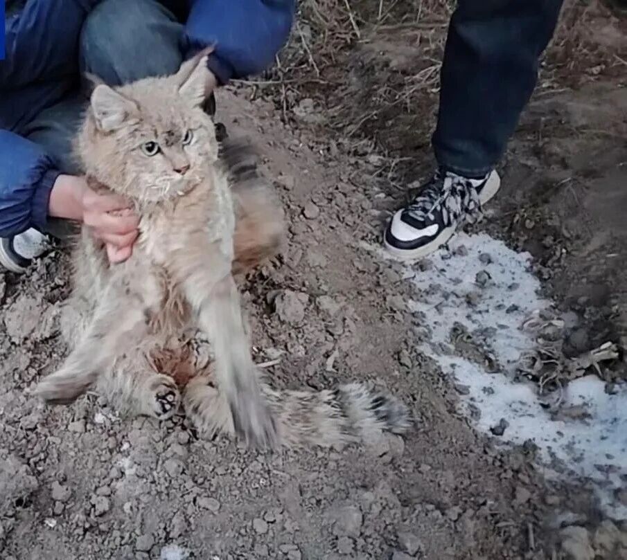 微信图片_2026-04-08_064229_033.jpg 微信图片_2026-04-08_064229_033.jpg