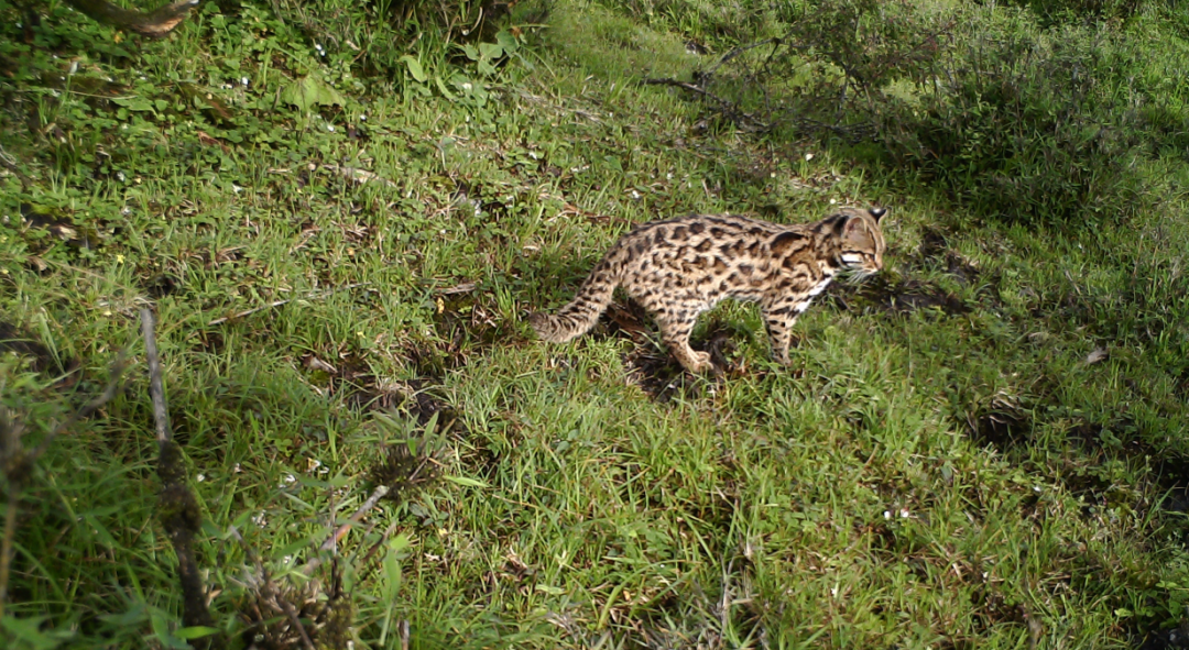 微信图片_2026-04-11_065127_162.png 微信图片_2026-04-11_065127_162.png