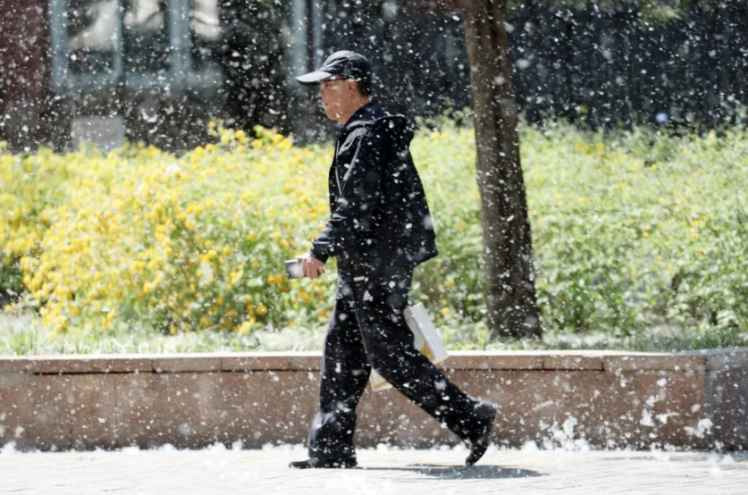 微信图片_20260415065223_2488_21.png 微信图片_20260415065223_2488_21.png