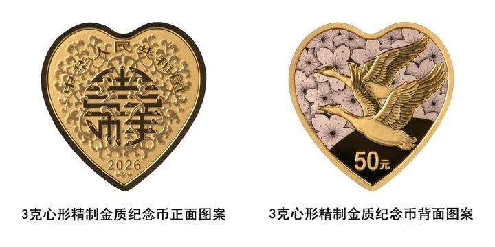 微信图片_2026-05-08_072751_036.jpg
