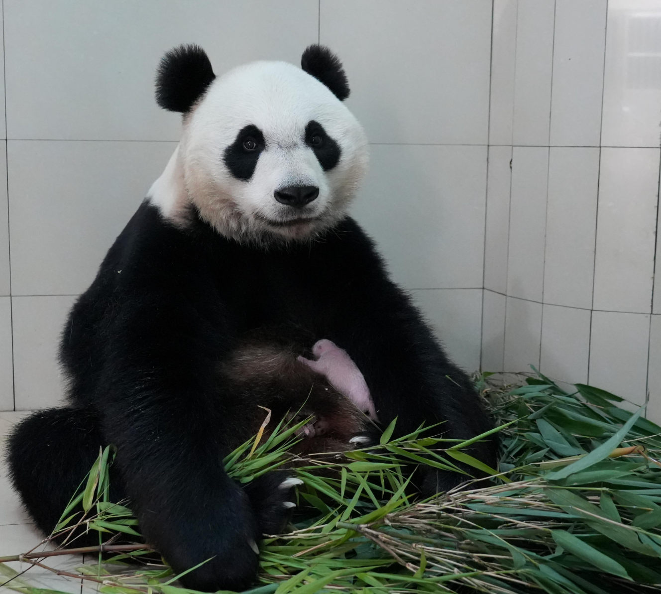 微信图片_2026-06-11_071452_574.png 微信图片_2026-06-11_071452_574.png