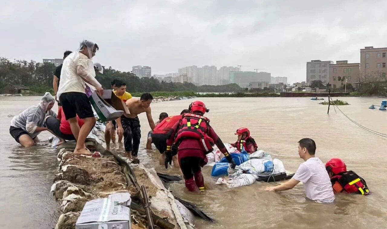 微信图片_2026-06-17_070753_838.jpg 微信图片_2026-06-17_070753_838.jpg