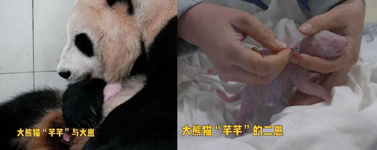 微信图片_2026-06-19_073250_267.jpg