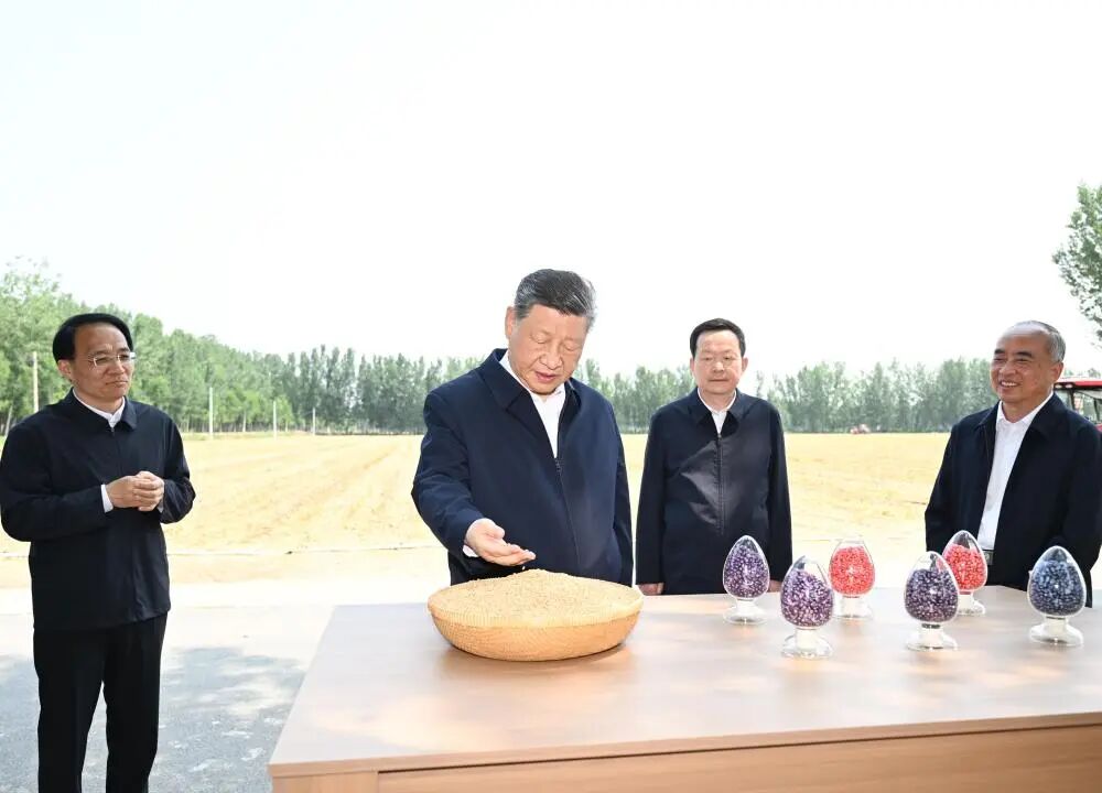 微信图片_2026-06-25_071156_256.jpg