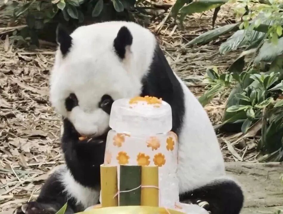 微信图片_2026-09-15_075807_233.jpg