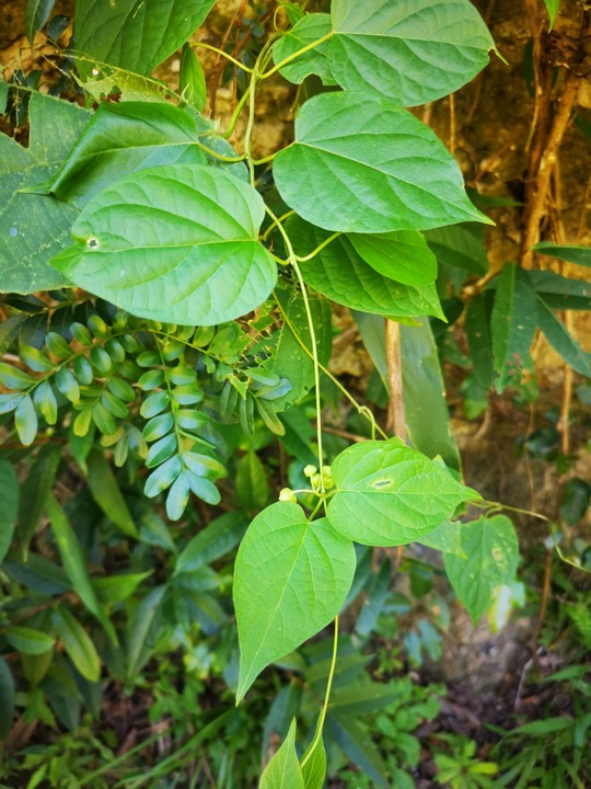 微信图片_2026-09-18_081126_434.png 微信图片_2026-09-18_081126_434.png