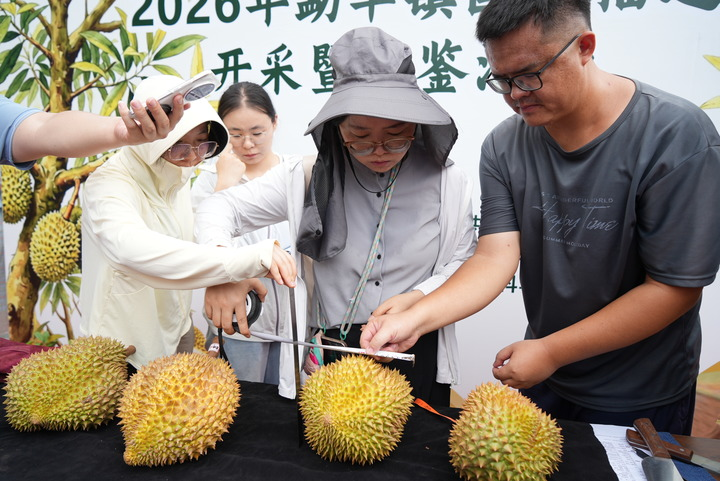 微信图片_2026-09-19_083506_731.png
